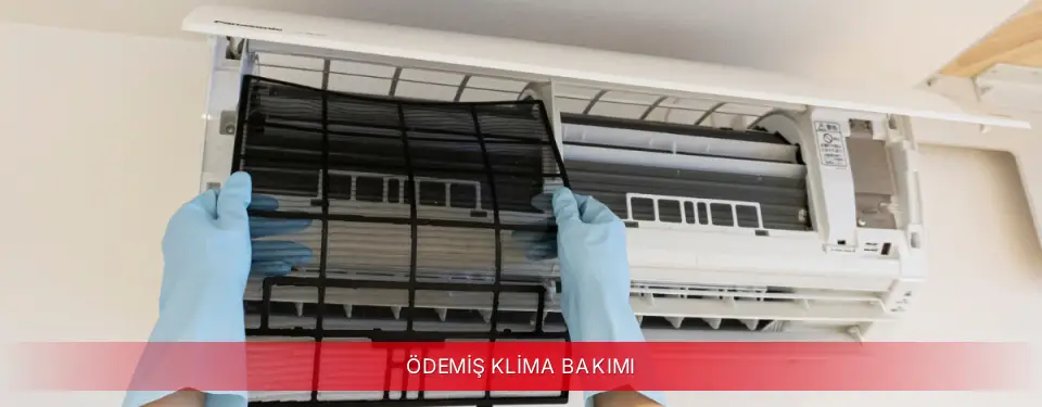 Ödemiş İlçemi Mitsubishi Electric Klima Bakımı