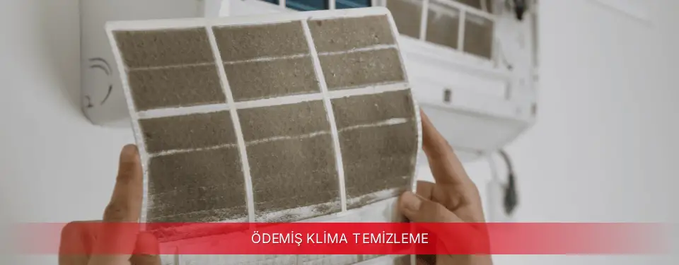 Ödemiş İlçemi Mitsubishi Electric Klima Temizleme